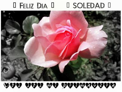 ¡¡Feliz Día mi Flor!!